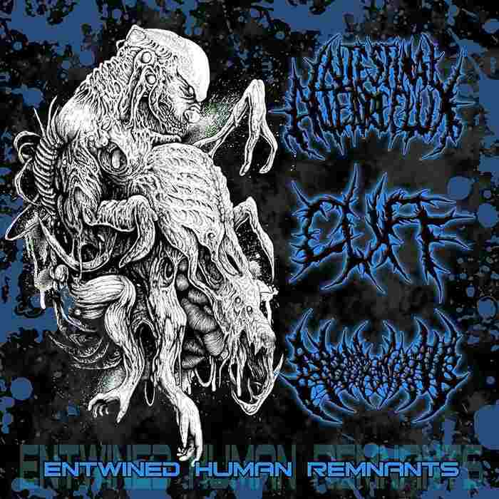 ENTWINED HUMAN REMNANTS - 3 Way Split CD