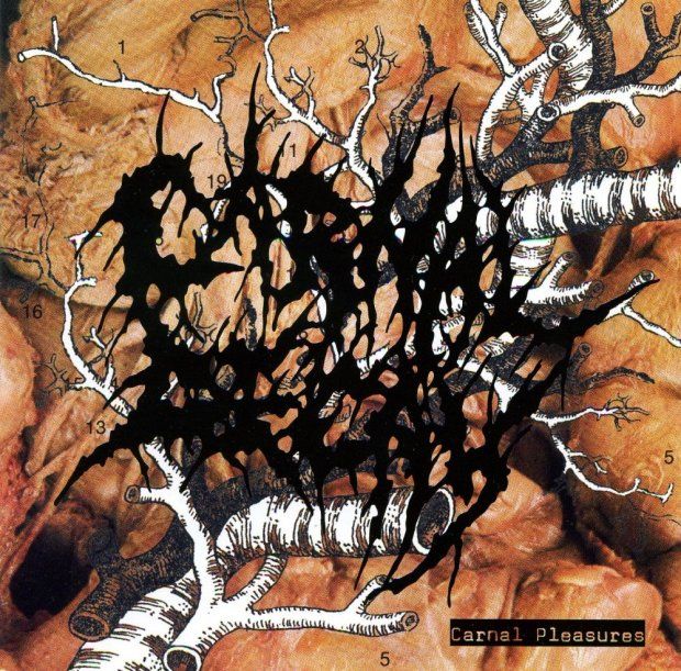 CARNAL DECAY- Carnal Pleasures - CD