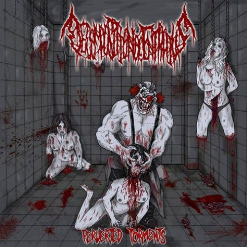DECOMPOSITION OF ENTRAILS - Perverted Torments CD