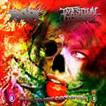INTESTINAL DISGORGE/RAPE - Anti Female Orchestra - CD
