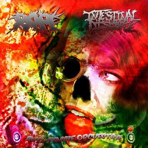 INTESTINAL DISGORGE/RAPE - Anti Female Orchestra - CD