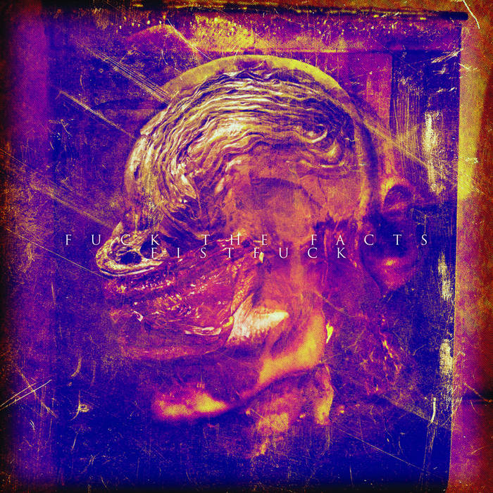 FUCK THE FACTS / FISTFUCK - Split - CD