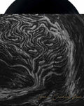 GNOSIS OSCURIDAD CAOS - Gnosis Oscuridad Caos - LP