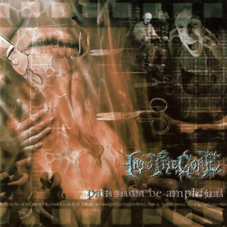 INTO THE GORE - Pain Must be Amplified - CD