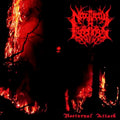 NOCTURNAL FEELINGS - Nocturnal Attack - CD
