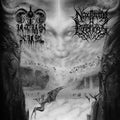 UTUK XUL / NOCTURNAL FEELINGS - Split- CD