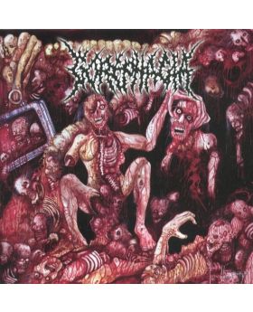 GOREPHAGIA/BEAUTICIAN - Split - CD